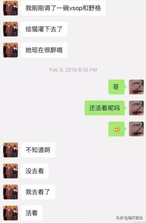 虐貓留學生,國人的臉都被你丟盡了!