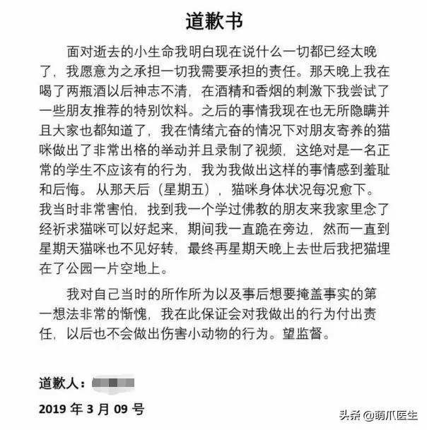 虐貓留學生,國人的臉都被你丟盡了!