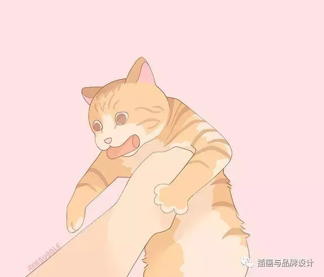 插畫丨插畫師把網上超火的的萌寵表情包,畫成超可愛漫畫,肯定有你見過的! 原文網址:https://kknews.cc/