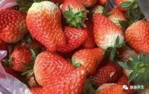 春天第一果、第一菜、第一粥、第一湯……今春一定要吃齊了