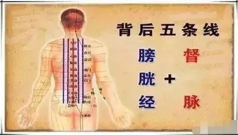春天做背,人活百歲!堅持22天有奇效(錯過等一年)