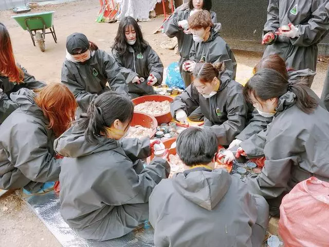 生日低調行善,泰妍與飯們到流浪犬收容所志願服務!