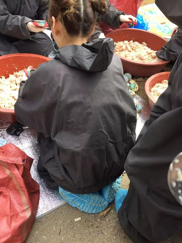 生日低調行善,泰妍與飯們到流浪犬收容所志願服務!