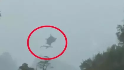是真的!老外去大陸登山又拍到龍?這次更大隻!更清楚了