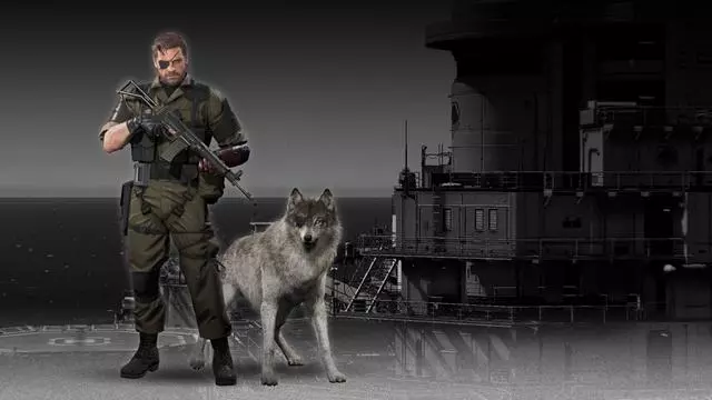軍犬有哪些品種?10大軍犬帥爆戰場,比德牧還酷的軍犬竟不止一種