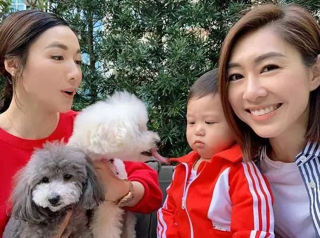胡杏兒宣布懷二胎後首曬孕肚照,小腹微微隆起,氣質優雅氣色好