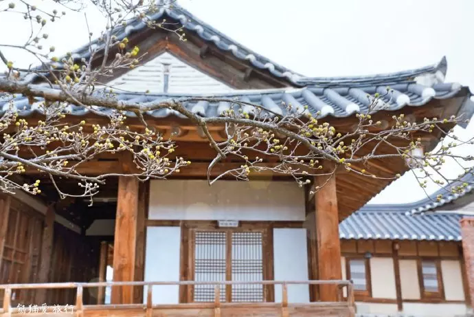 安東河回村,韓國國寶級假面誕生地,面具里竟然藏著悽美的故事