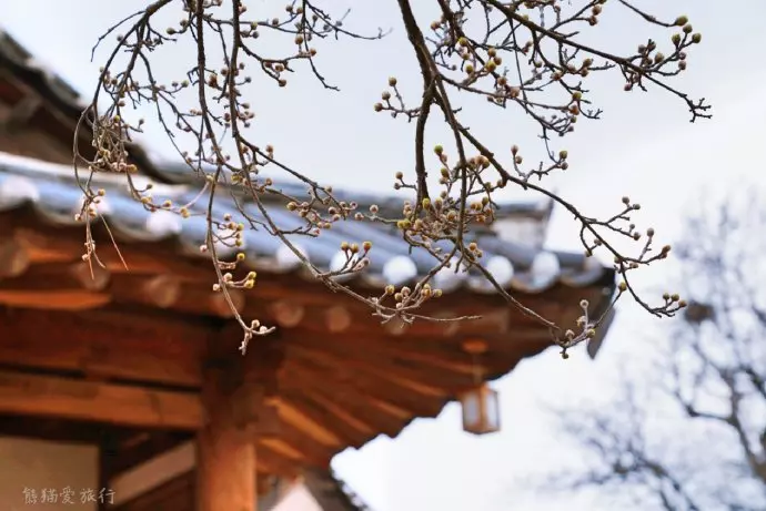 安東河回村,韓國國寶級假面誕生地,面具里竟然藏著悽美的故事