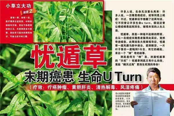 「劉師傅 4 大秘方」 + 「19 個憂遁草」複方大合集: 治療風濕,腰骨痛,尿酸,痛風 ~ ~