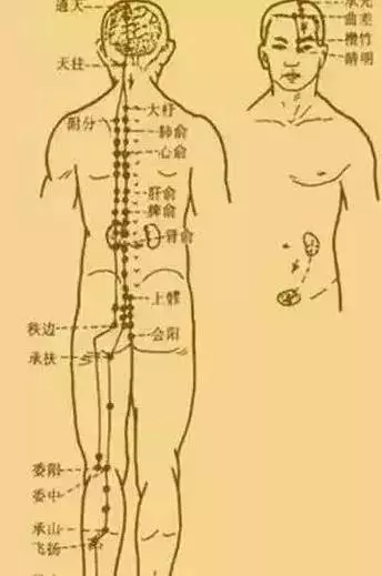 每天翻轉手臂2分鐘,上肢經絡全疏通,心臟1年更比1年健康