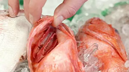 清蒸魚最考功夫!清蒸魚就是要注意這些細節,魚肉就會鮮嫩香甜!