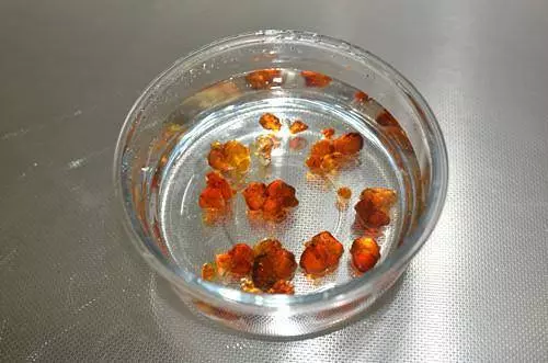 經常喝這個,皮膚想不好都很難——「桃膠銀耳羹」