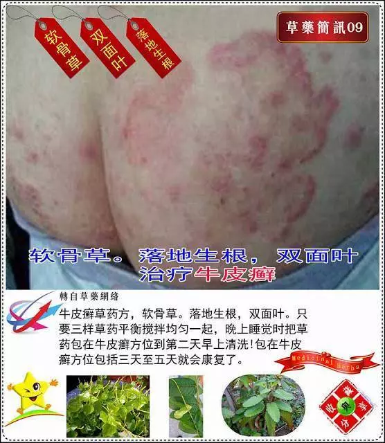 30種草藥簡訊 很全面 收藏就是賺到了