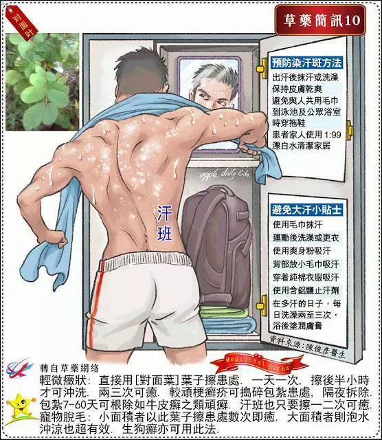 30種草藥簡訊 很全面 收藏就是賺到了