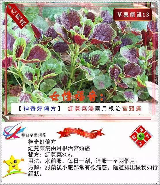 30種草藥簡訊 很全面 收藏就是賺到了