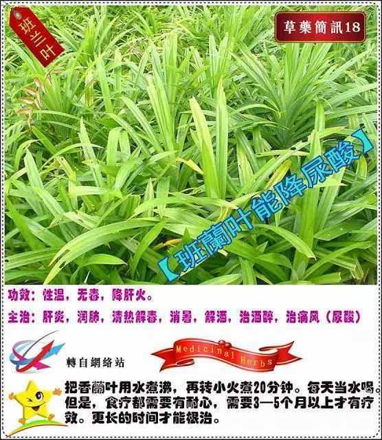 30種草藥簡訊 很全面 收藏就是賺到了