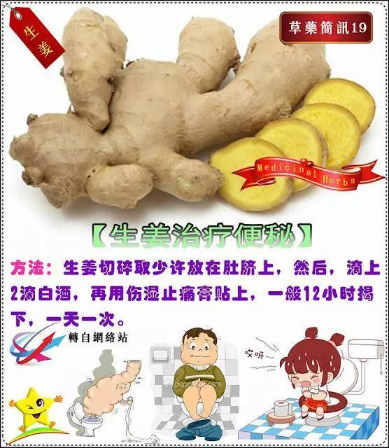 30種草藥簡訊 很全面 收藏就是賺到了
