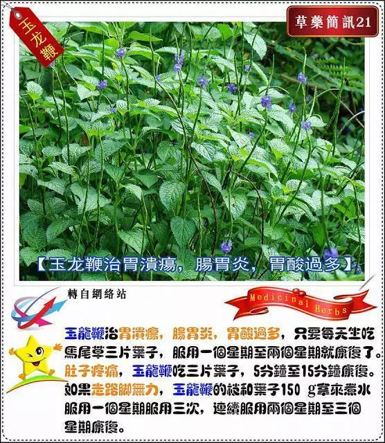 30種草藥簡訊 很全面 收藏就是賺到了