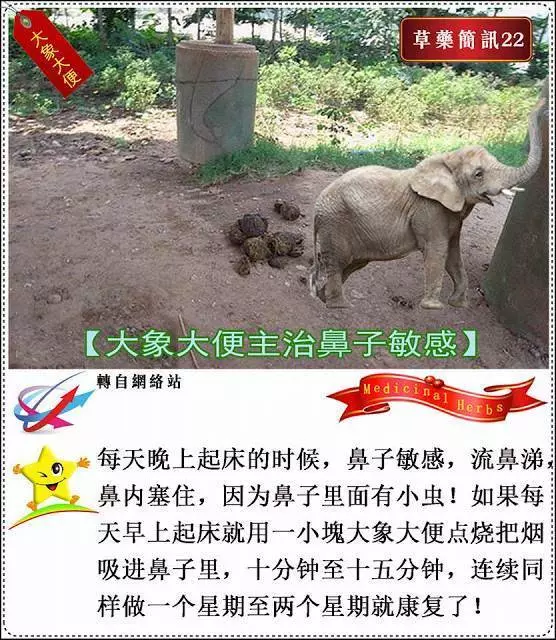 30種草藥簡訊 很全面 收藏就是賺到了