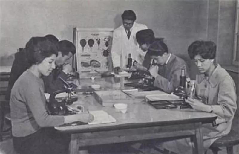 41個「從此開創新歷史」的劃時代霸氣女性