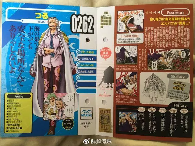 《海賊王》五位海軍高層貫徹的正義,藤虎是仁義,路奇是惡!