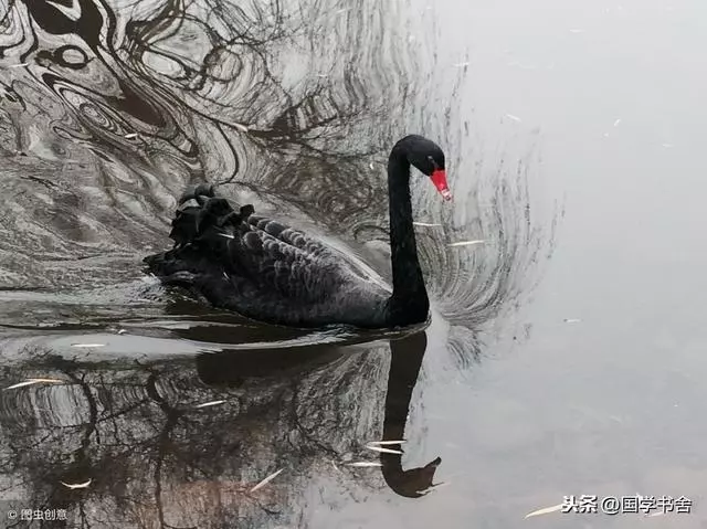 《道德經》:看似簡單的話,便是人生的智慧,和大家共勉