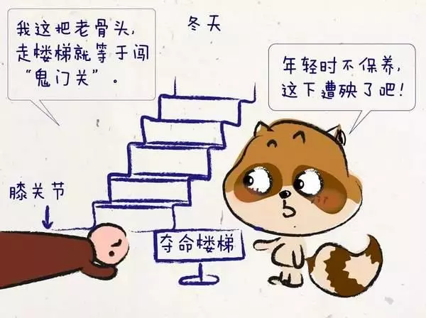 膝關節磨損不可逆!6招教你且行且珍「膝」