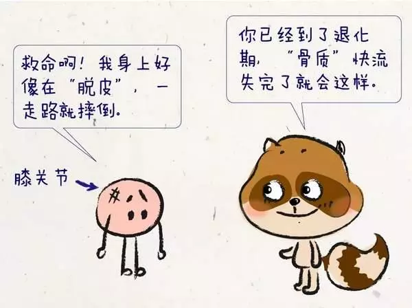 膝關節磨損不可逆!6招教你且行且珍「膝」