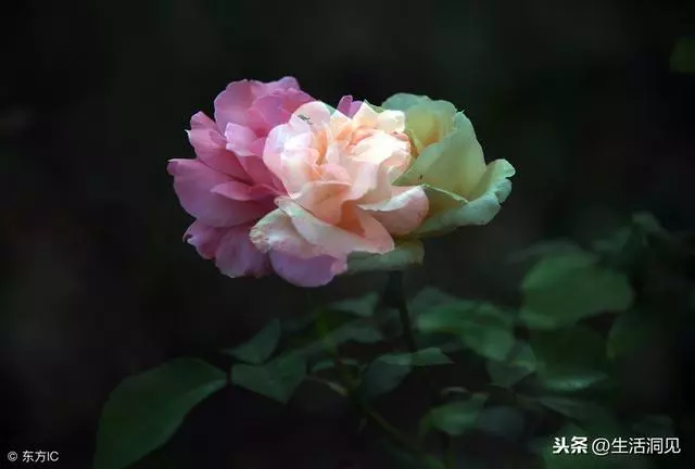 人到中年,堅持做好這三件事,幸福自然來