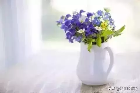 每天堅持八件事,生活越來越漂亮!