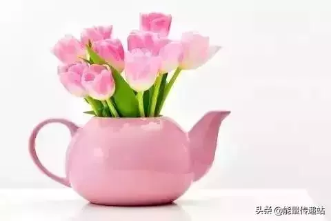 每天堅持八件事,生活越來越漂亮!