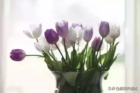 每天堅持八件事,生活越來越漂亮!