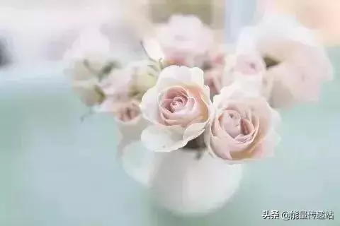 每天堅持八件事,生活越來越漂亮!