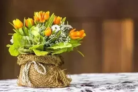 每天堅持八件事,生活越來越漂亮!