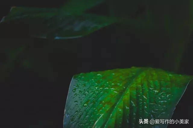 人到五十,在這三個地方「捨得」一點,命就越好