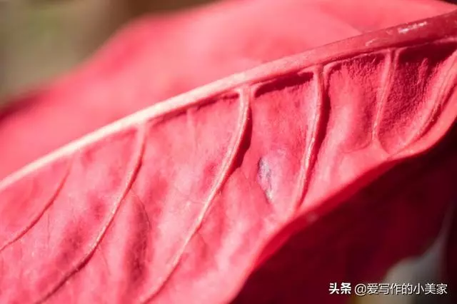 人到五十,在這三個地方「捨得」一點,命就越好