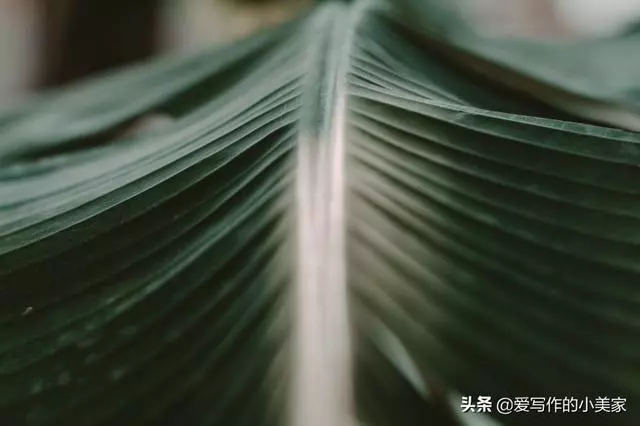 人到五十,在這三個地方「捨得」一點,命就越好