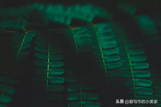 人到五十,在這三個地方「捨得」一點,命就越好