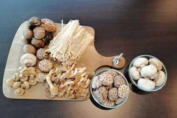 (新加坡) 長者注意 多吃蘑菇 原來有這好處……