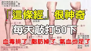 我們身體有一條【經絡】很神奇,每天敲打50下,不僅血毒排了,脂肪掉了,氣血也足了!