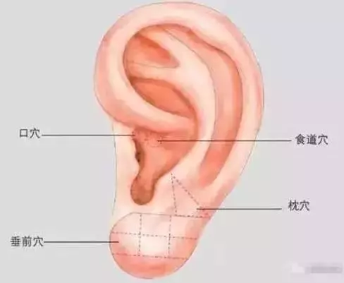 印堂穴為什麼能搞定失眠?