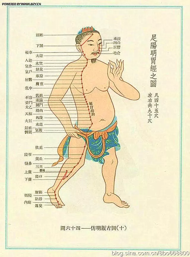 什麼是十二經怎麼命名和治療疾病的
