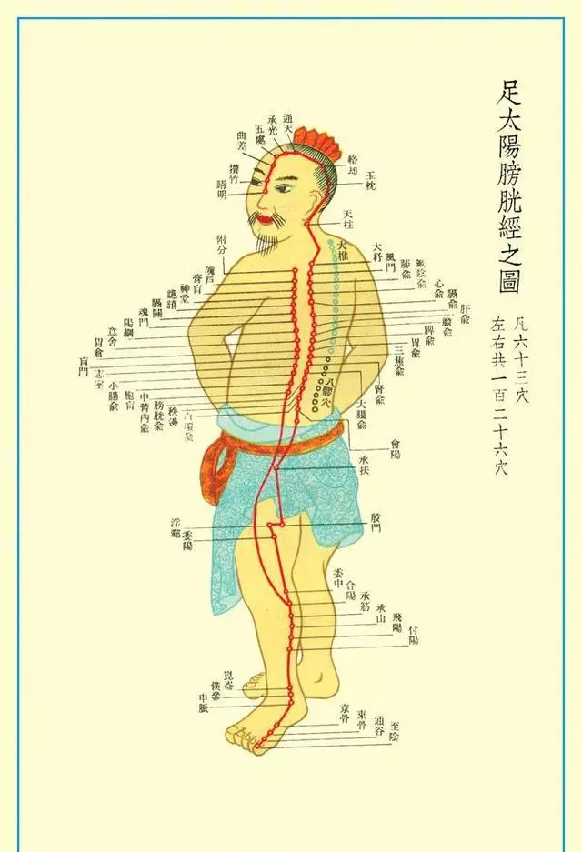 什麼是十二經怎麼命名和治療疾病的