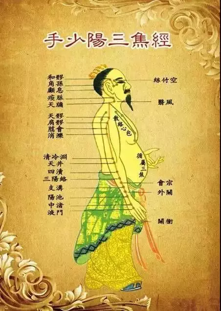 什麼是十二經怎麼命名和治療疾病的
