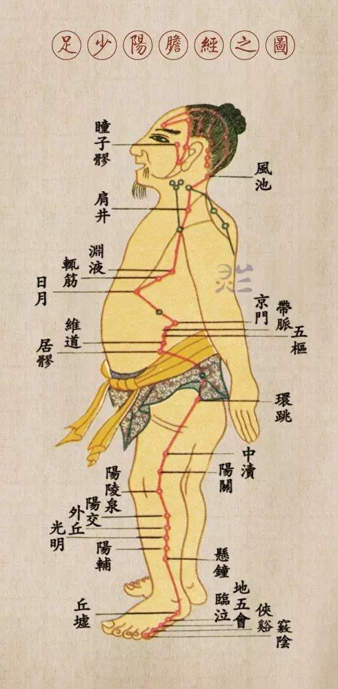什麼是十二經怎麼命名和治療疾病的