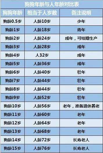 狗狗跟人年齡的換算,你家毛孩幾歲呢?