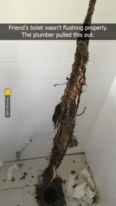 18張會讓你絕對不敢再用馬桶的照片!