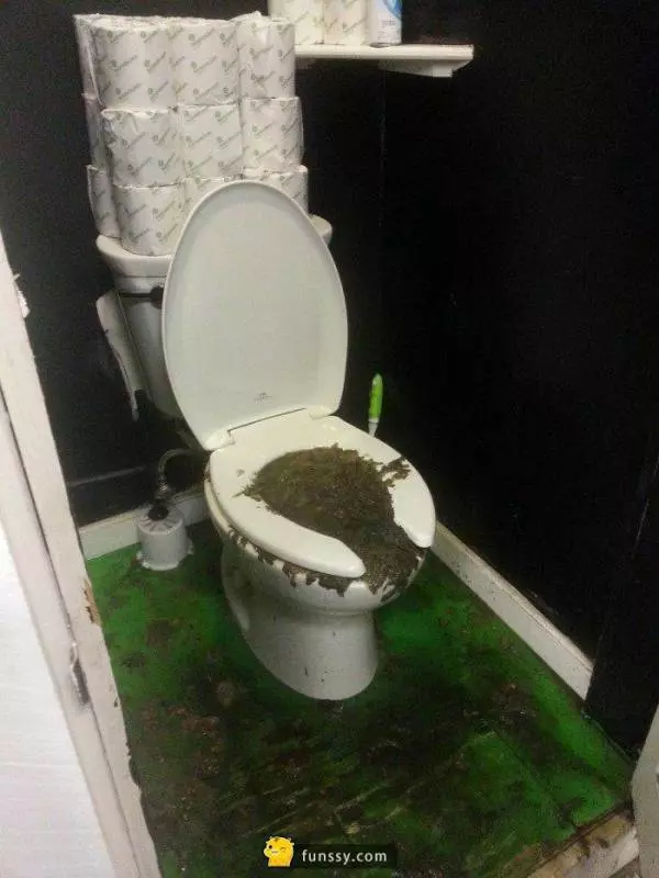 18張會讓你絕對不敢再用馬桶的照片!