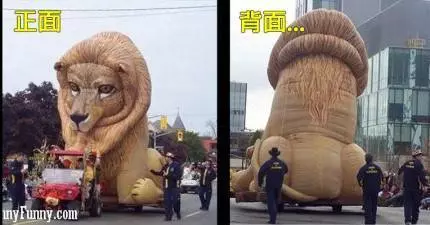 21張「只有很純潔的人才看懂」的超單純照片