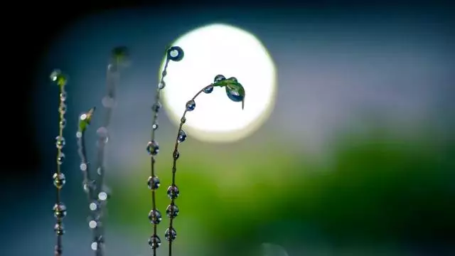 手機電筒還能這麼玩?你還能玩得更好